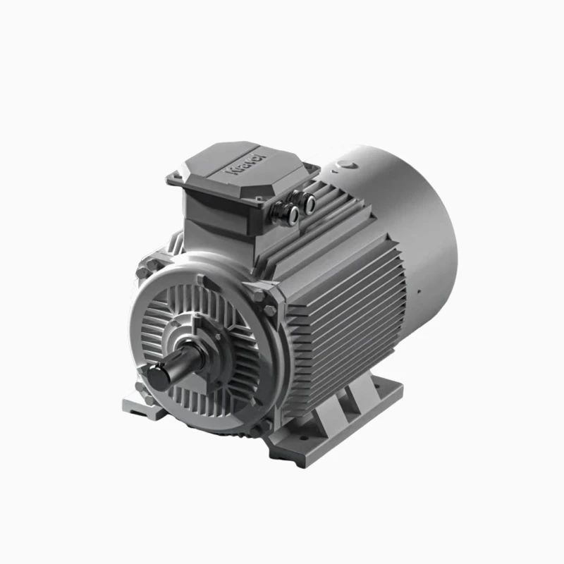 IE2 Electric Motor